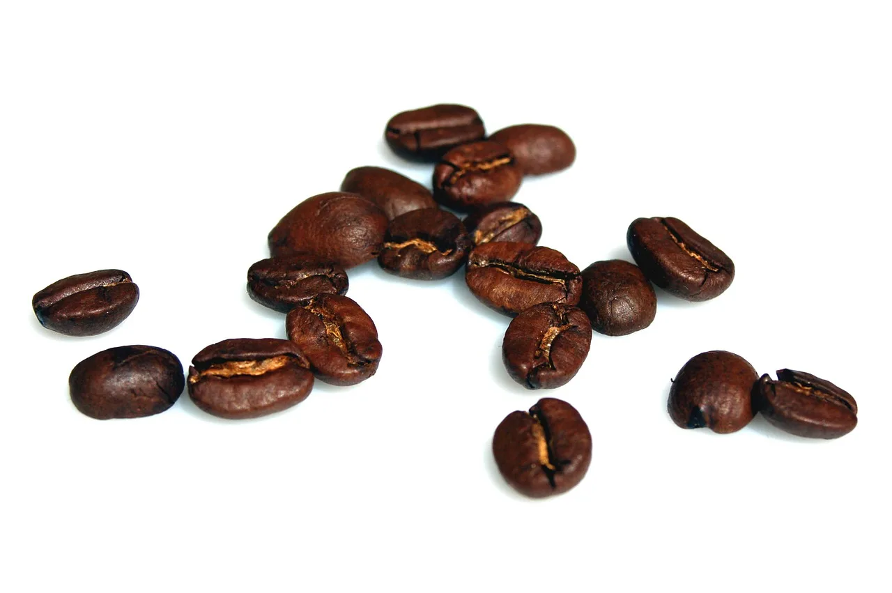 Global Original Sources EU standards certified custom roasted coffee For nutraceutical industry