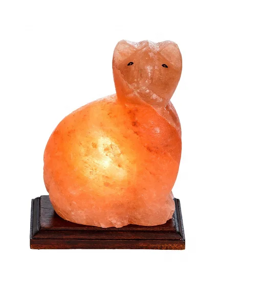 himalayan salt lamp cat shape