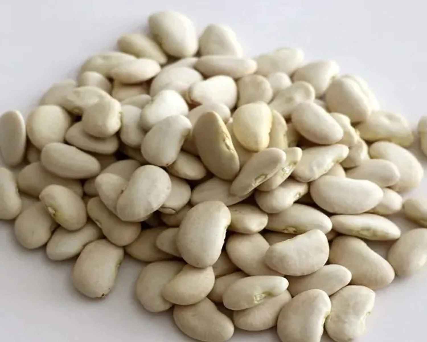 Butter Beans (lima Beans) Buy Butter Beans,Dry Butter Beans,Phaselous