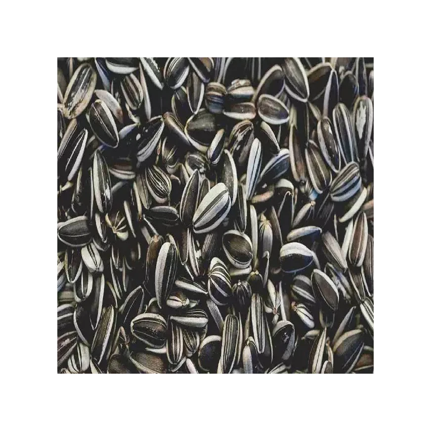 Different Types Of Sunflower Seeds / Sun Flower Seeds Kernel Buy Best