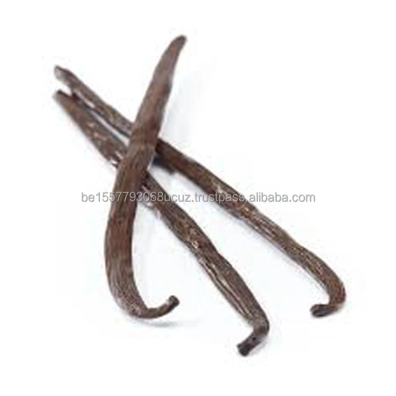 Madagascar Vanilla Beans,Vanilla Beans Kg,Vanilla Beans With Best Price