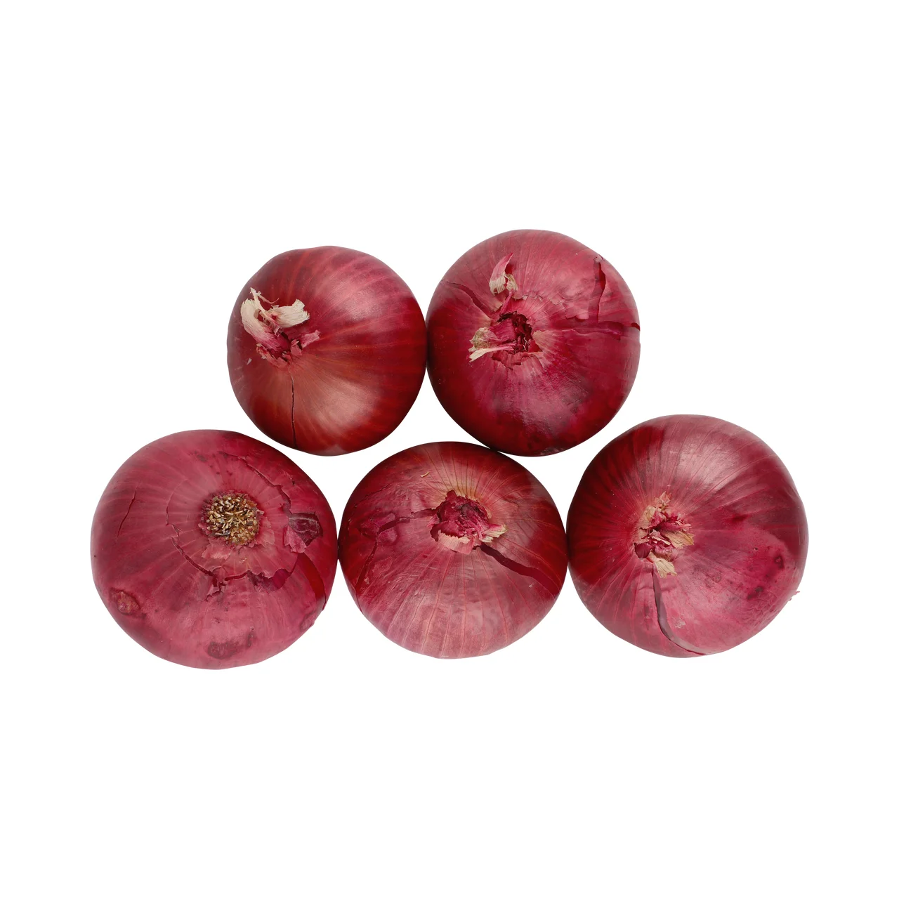 Fresh Onion Export 20232024 New Crop Red Onion Fresh Red Onion Price