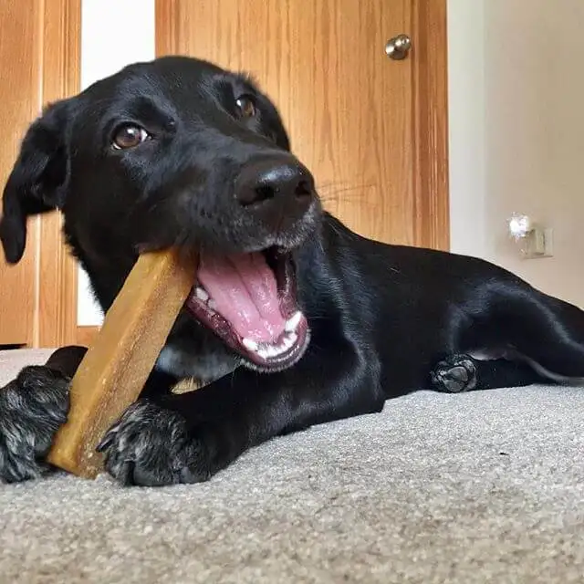 Premium Quality Yeti Natural Yak Cheese Long Lasting Dog Chews For