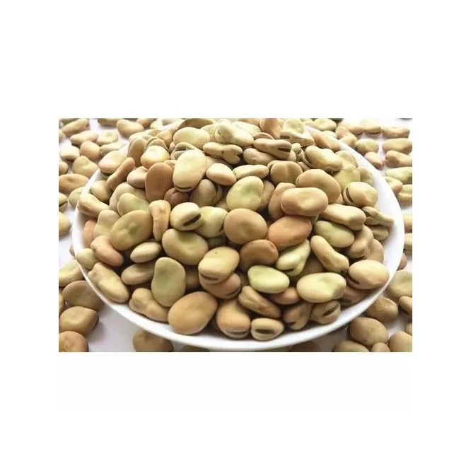 Dried Broad Beans Bulk Dry Fava Beans Buy Wholesale High Quality Dry
