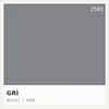 Gray 2581