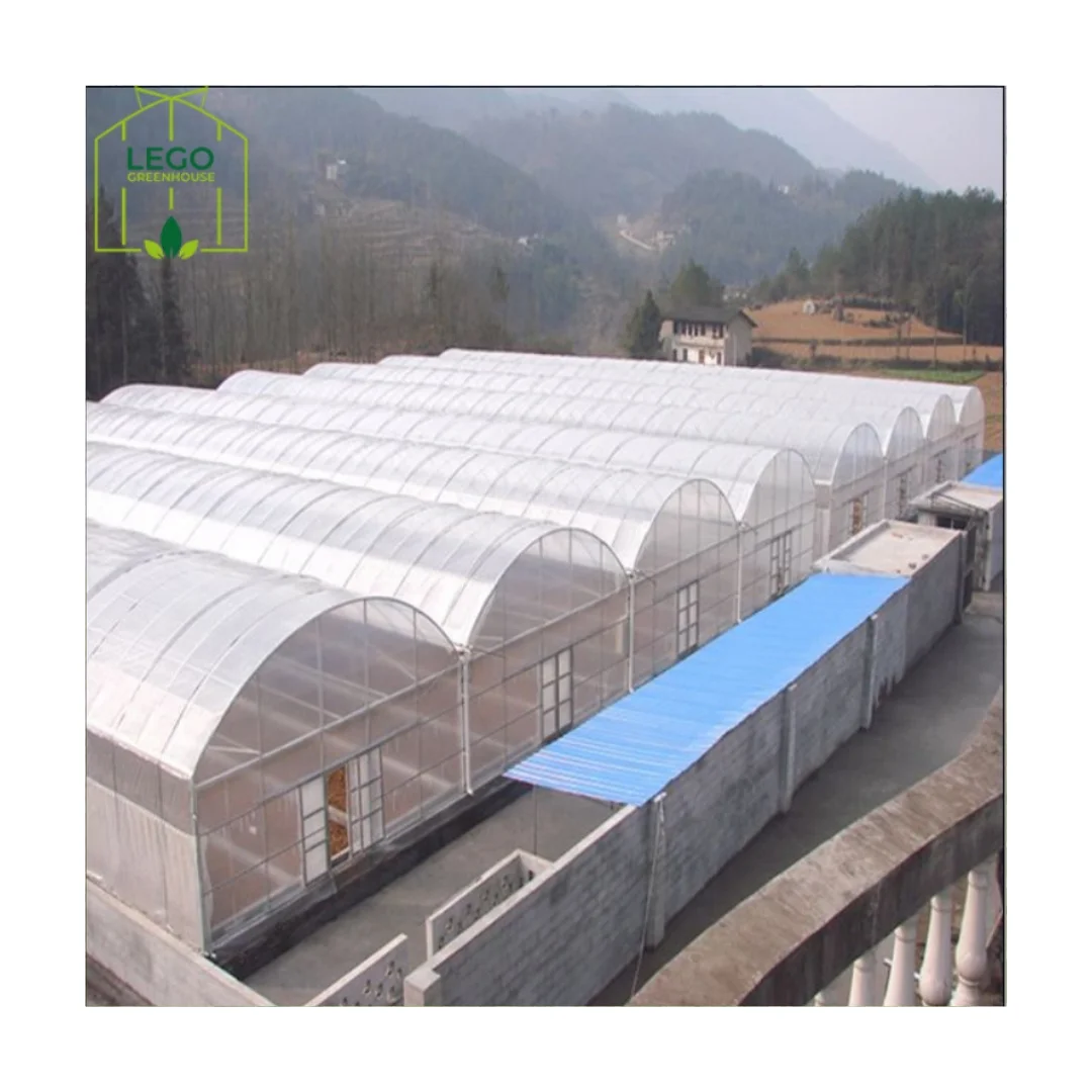 Tunnel Greenhouse Low Cost Steel Construction Galvanized Materials