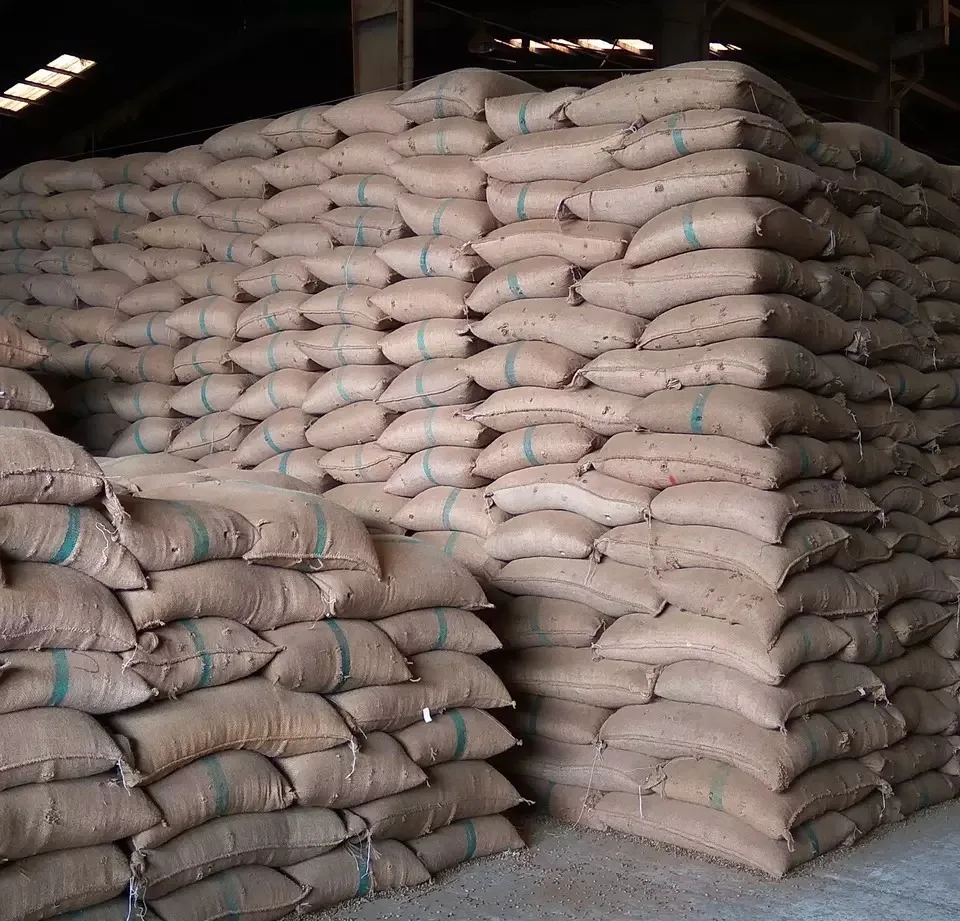 Best Sellermedium Roast Whole Bean Coffee Packaging Premium Bags