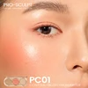 PC01