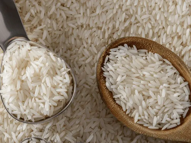 Wholesale long Grain White Rice