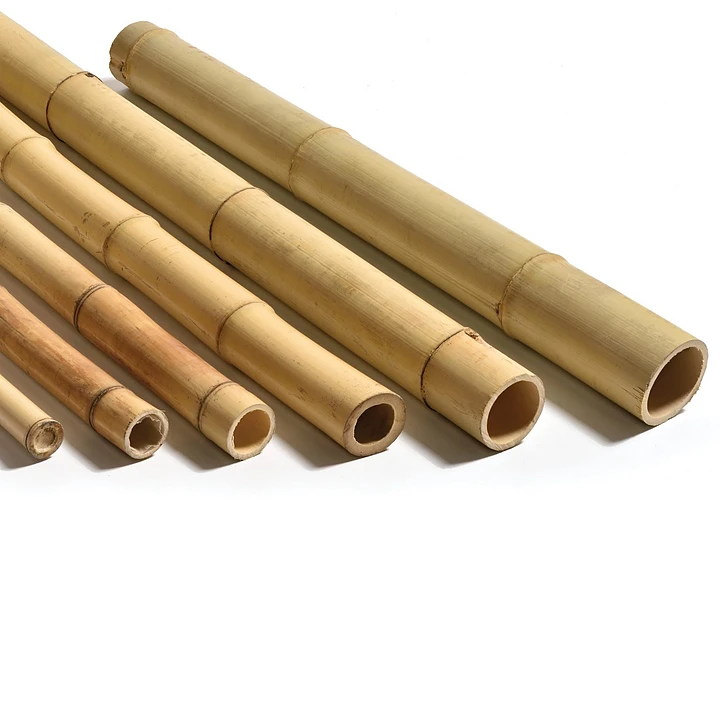 Moso thick strong bamboo poles tonkin tamboo pole from vietnam cheapest price wholesale ready for export