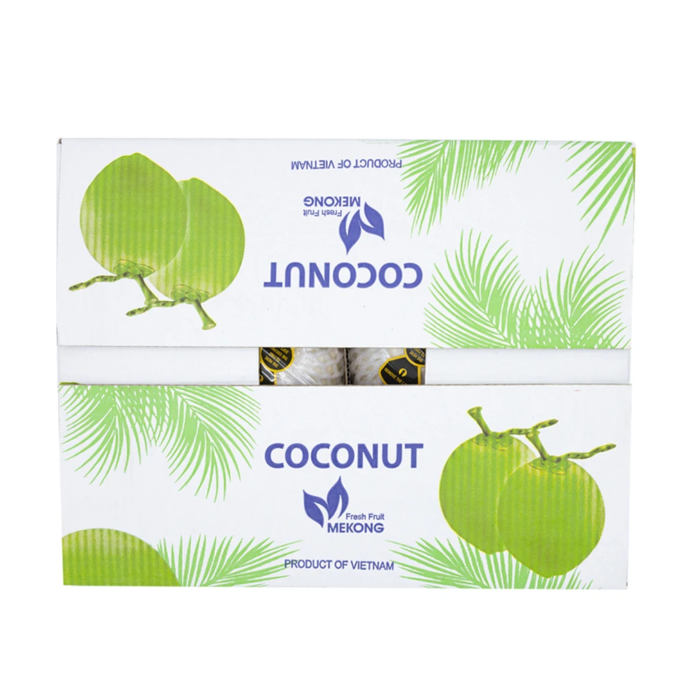易椰子天然有机新鲜椰子优质越南年轻甜椰子最佳价格批发供应商 Buy 椰子新鲜椰子年轻椰子出售半husked椰子,新鲜的年轻椰子初榨椰子油