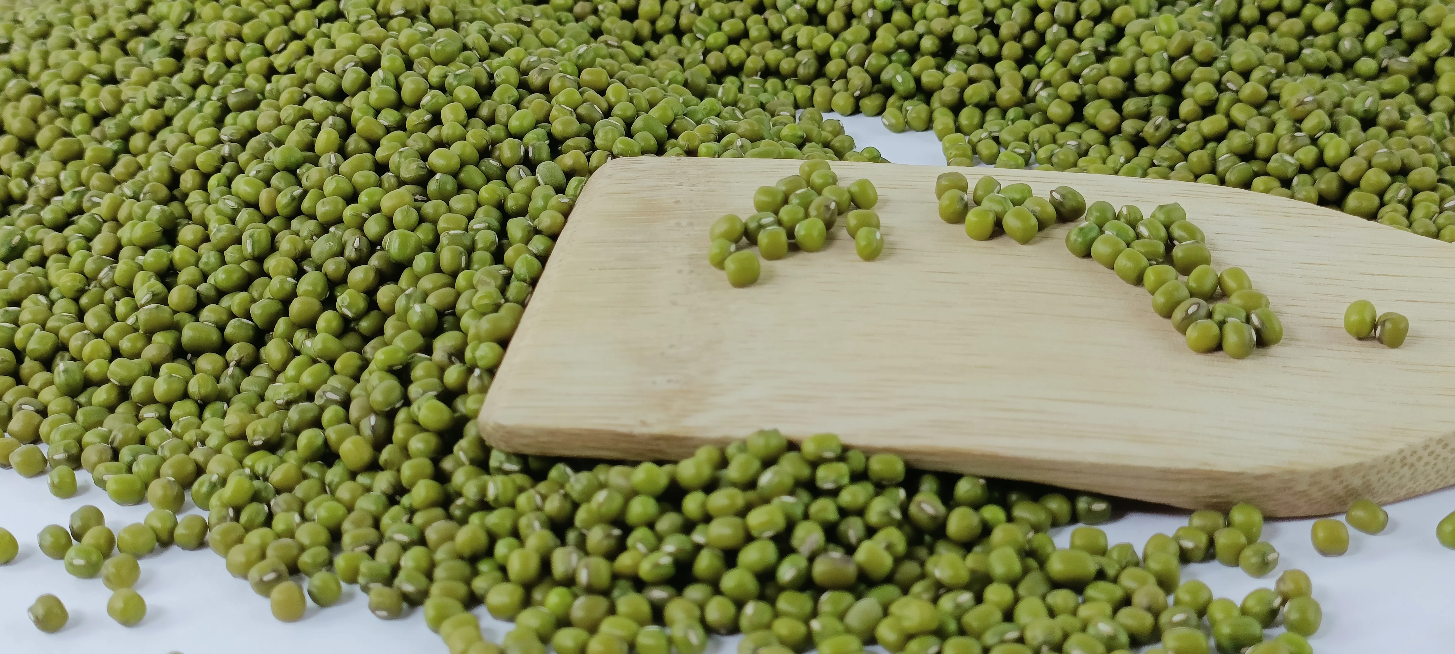 Ethiopian Green Mung Beans 2024 Crop,Bright Green Handpicked And ...