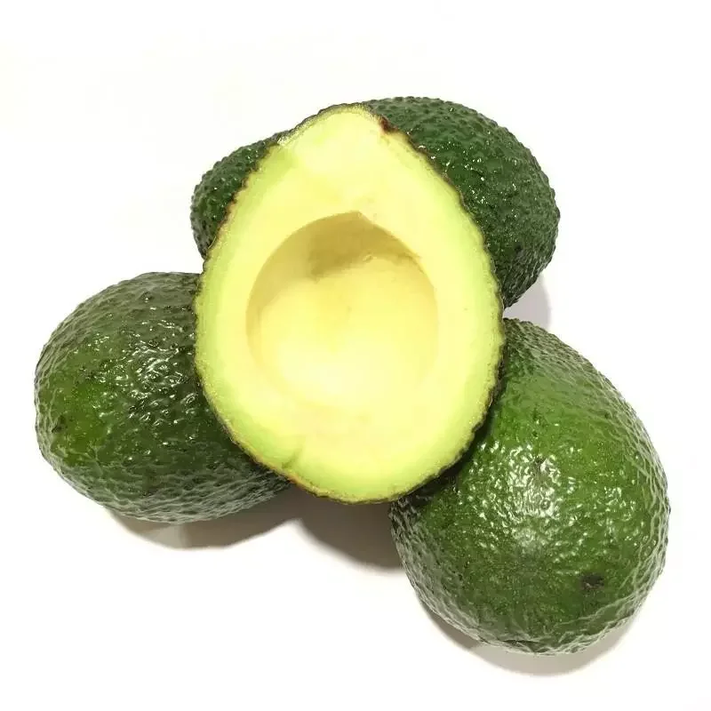 High Quality Fresh Fruit Avocados Available for Sale at Low Price