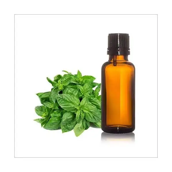 100 Pure Basil Essential Oil Manufacturer Bulk Supply At Wholesale Bulk Price Sweet