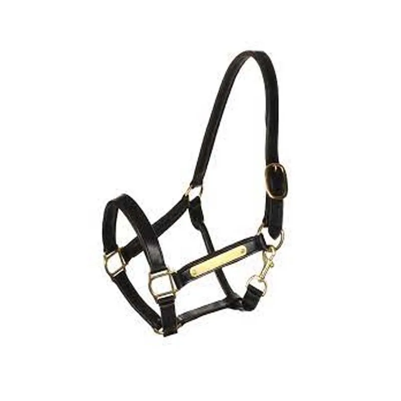 Latest Best 2023 Western Horse Halters Nylon Horse Halter Available In
