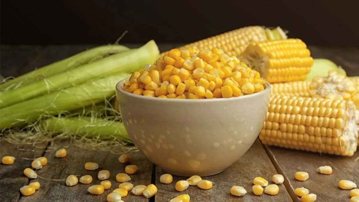 Phild corn meme. Кукуруза зерно картинка. Человек ест кукурузу. Кукуруза. Кукурузный крахмал фото.
