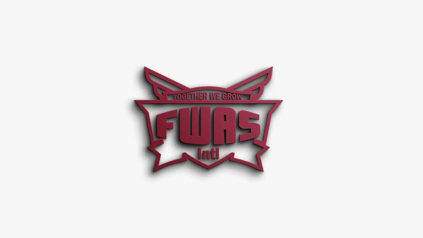 Company Overview - FWAS INTL