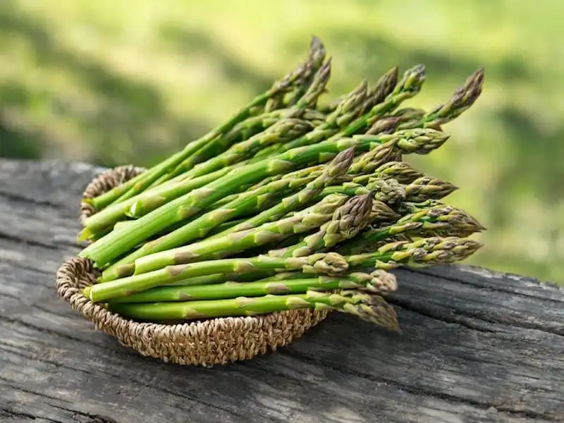 Asparagus.jpeg