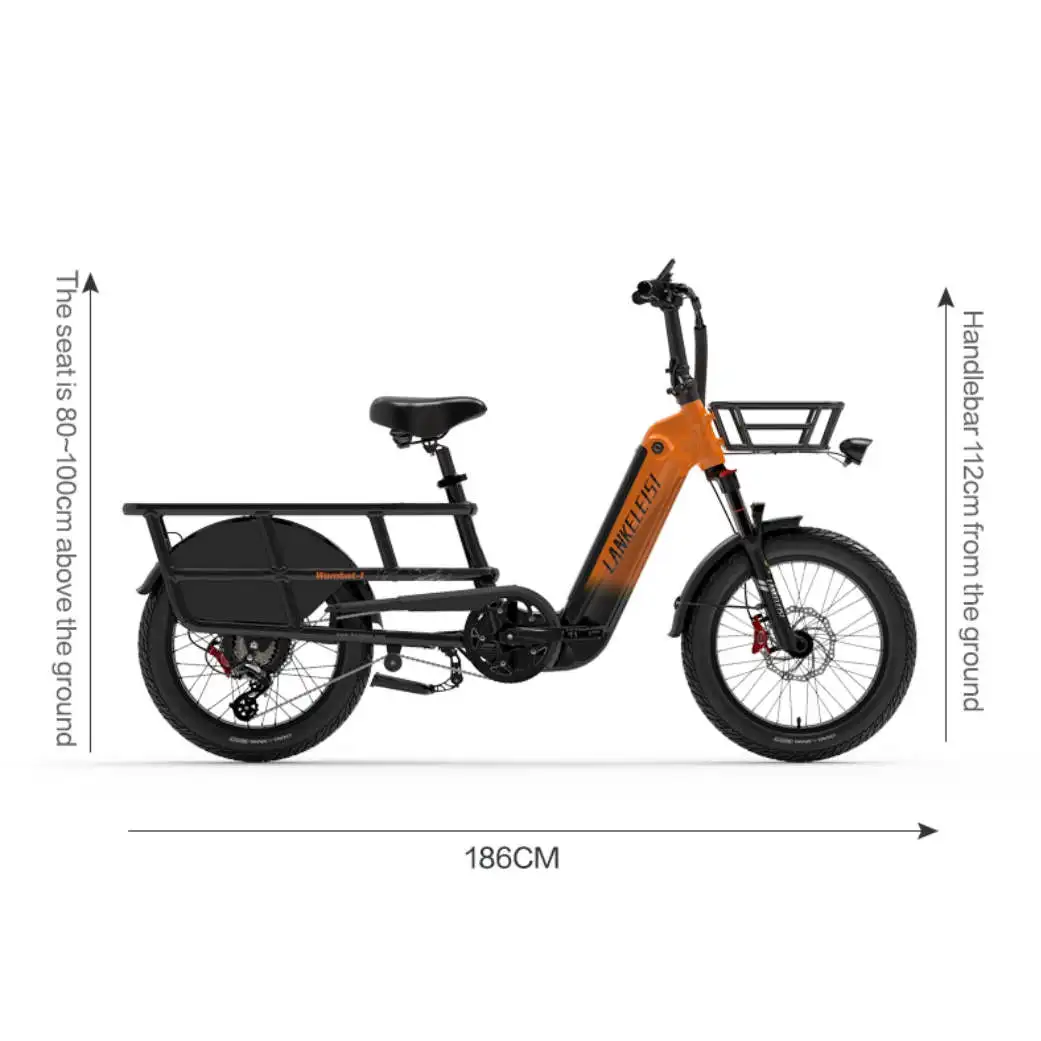 LANKELEISI Wombat-1 1000W Long Range Cargo Elcykel