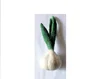 White/Green