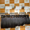 Color #1b