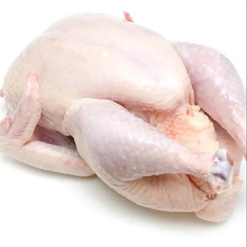 Frozen Whole Halal Chicken.jpg
