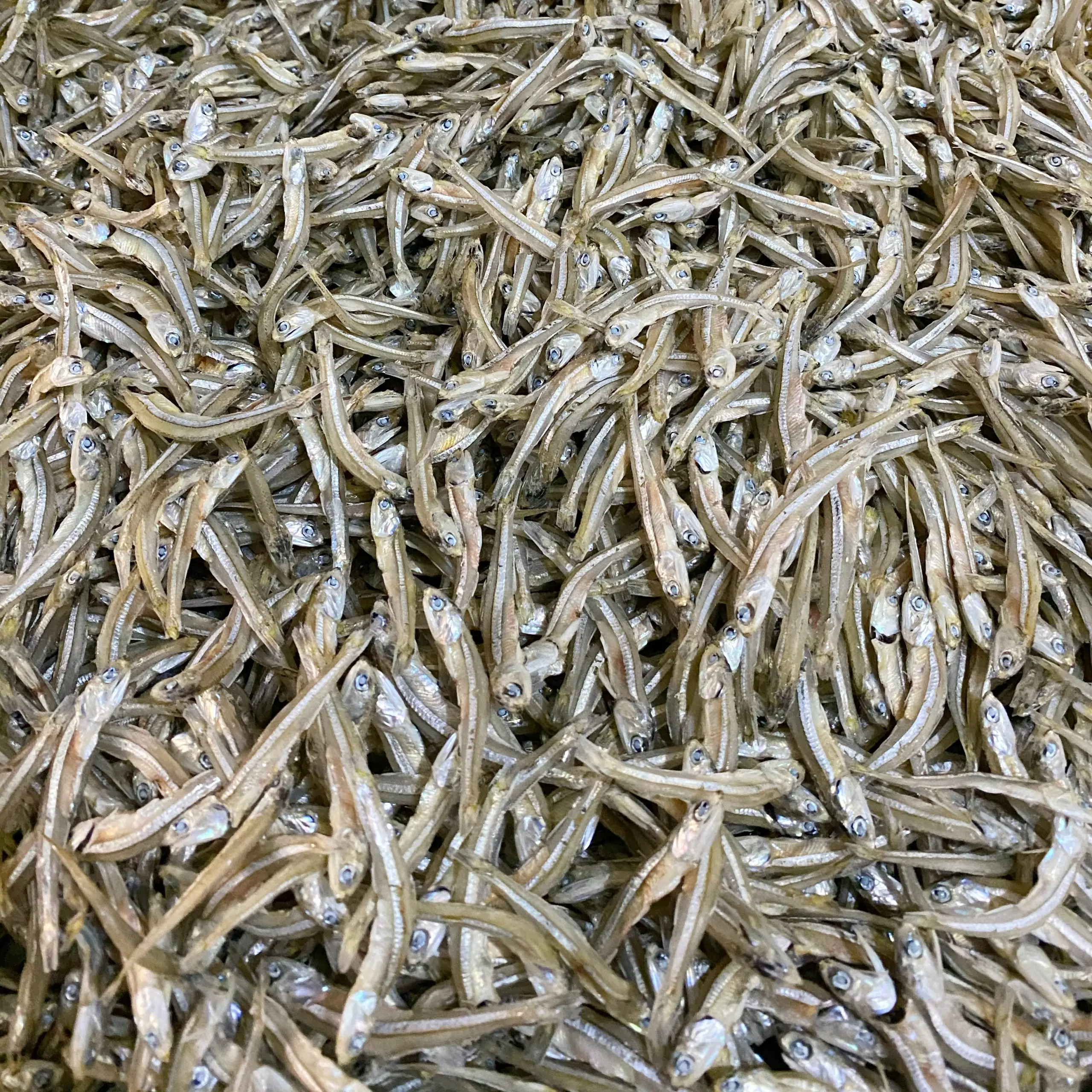 high-quality-dried-anchovy-at-wholesale-price-small-dried-fish-from