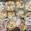 15 tipos conchas mezcladas
