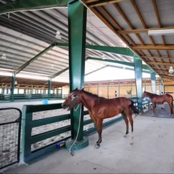 Steel Structure Prefab Horse Riding Arena