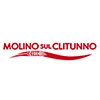 Molino Sul Clitunno Spa Flour Flour For Pizza