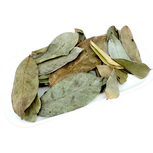 DRIED SOURSOP LEAVES / DRY SOURSOP LEAF FROM VIETNAM WITH CHEAP PRICE