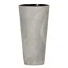 Cement