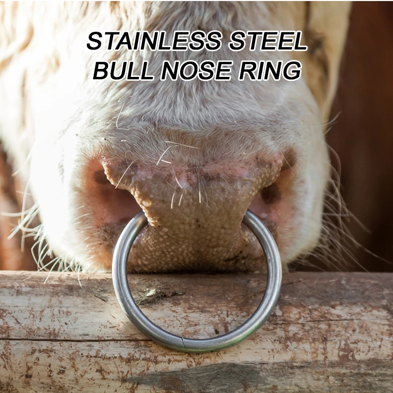 Nose Ring Like A Bull Copper Bullnose Ring Bull Nose Ring Holder