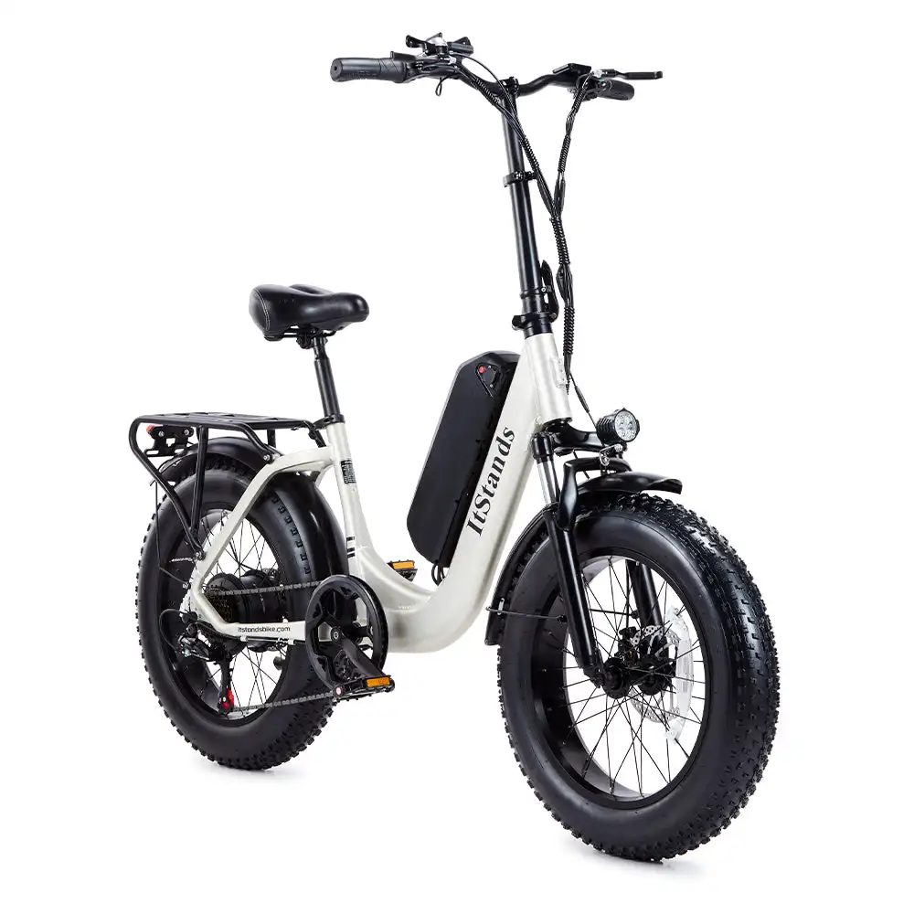 U1 Fat tire one piece Step-Through Design Ebike  800W 48V 15Ah  High-Performance Electric Bicycle