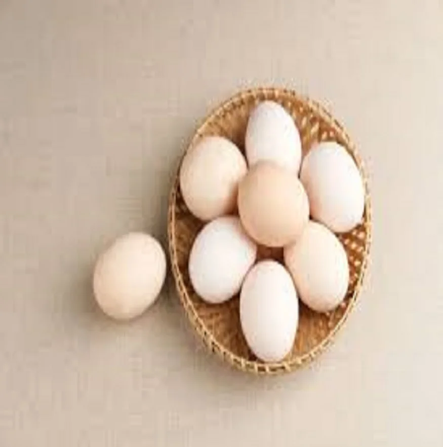Bulk Sale Fresh Chicken Table Eggs & Fertilized Hatching Eggs Buy