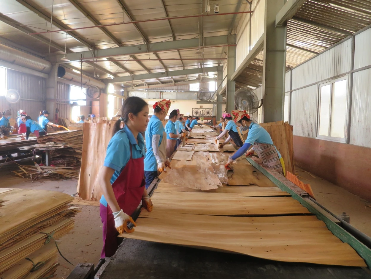 Plywood Board Laminated Commercial 18mm Formwork System Concrete