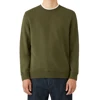 Deep Olive