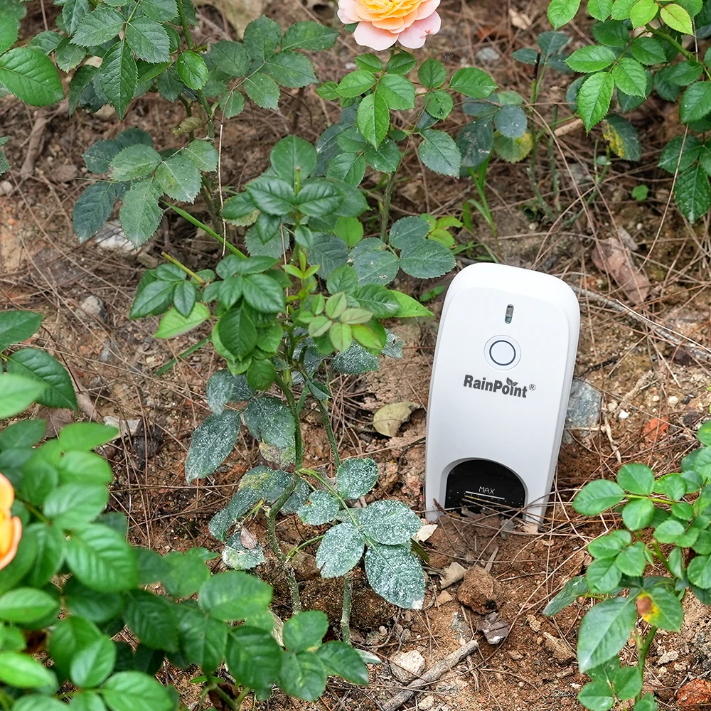 Rainpoint Soil Moisture and Sunlight Sensor Automatic Irrigation Sensor Smart App System Garden Lawn Sensor