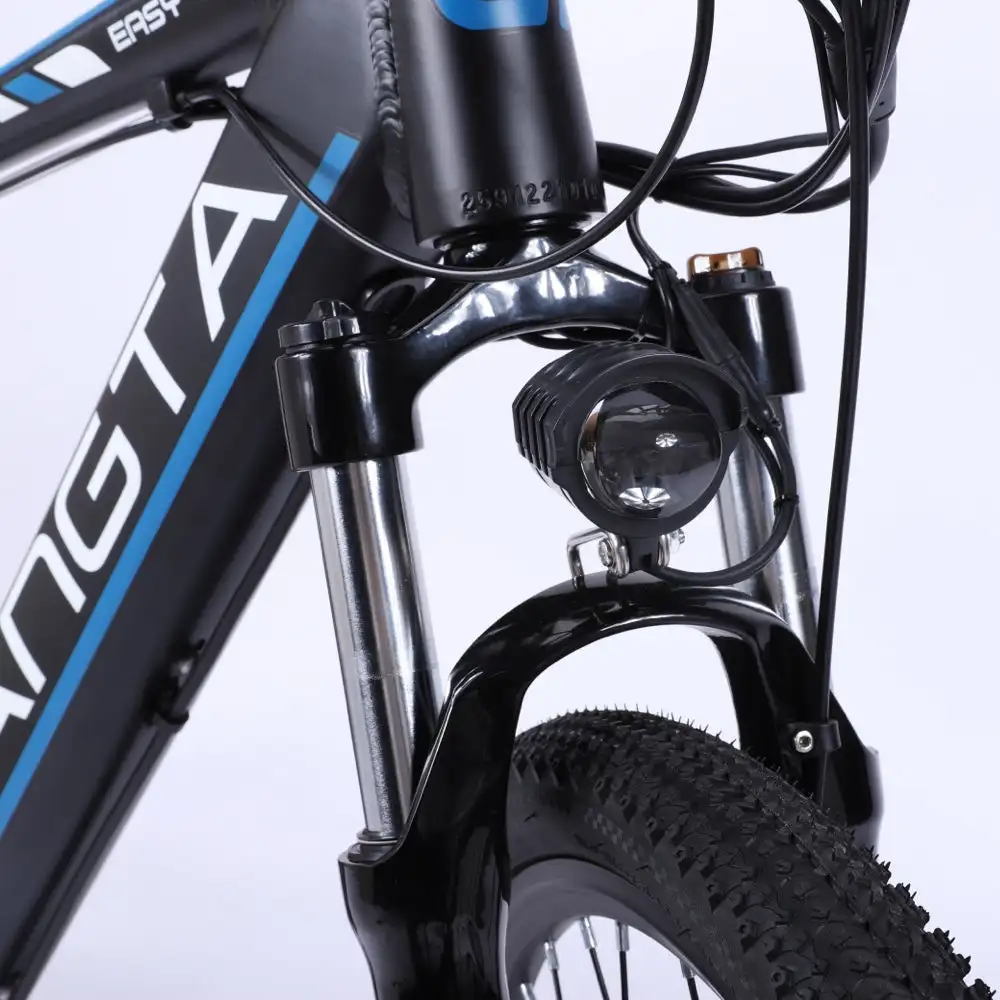 GTWO F1 26inch Electric City Bike with 350W 48V 15Ah Motor Aluminum Alloy Shimano 21S LCD Display