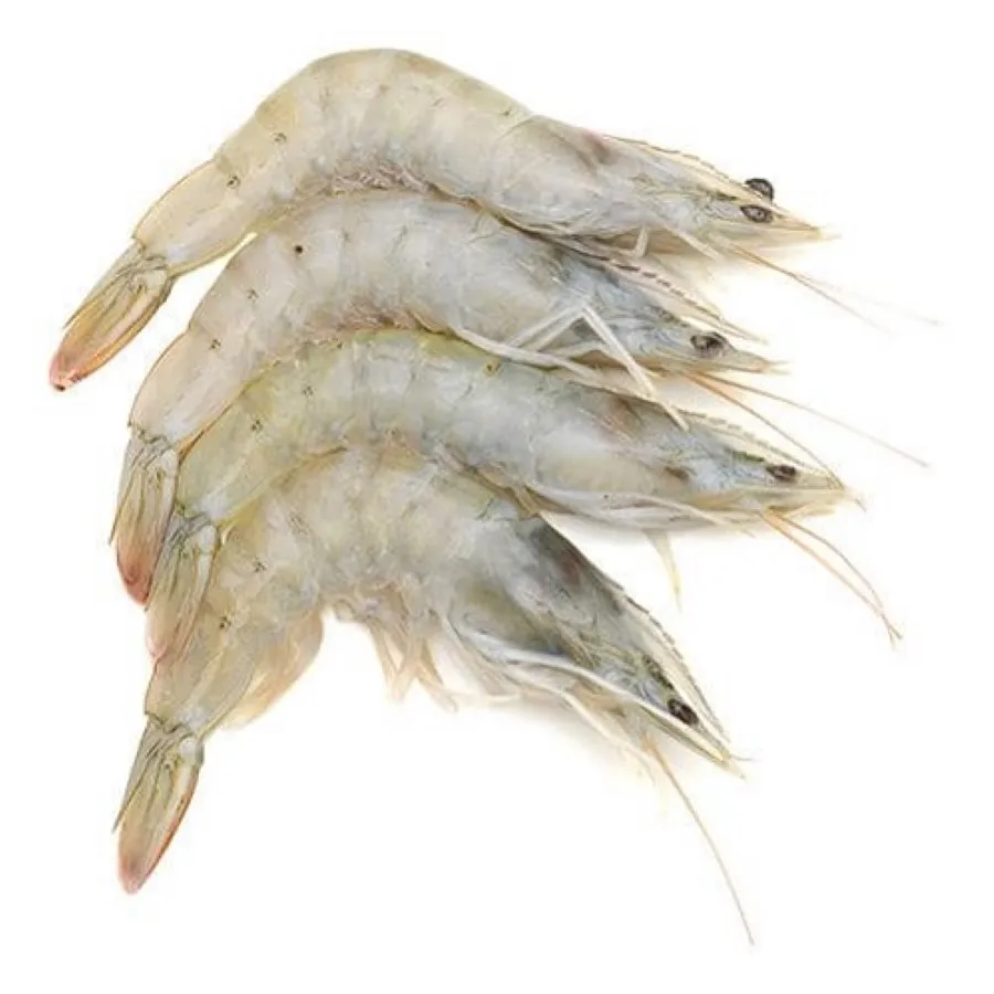 Fresh Frozen Seafood Prawns Frozen Vannamei Shrimp Good Quality Best