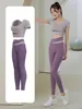 Light Purple + Purple