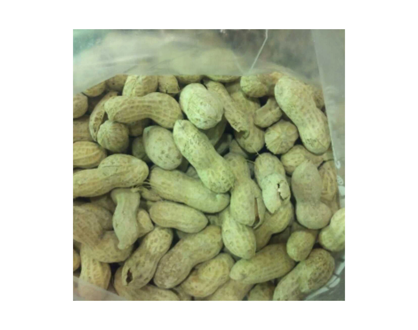 Blanched Java peanuts Price Per Ton Blanched Java peanuts Wholesales Blanched Java peanuts