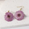 Purple chrysanthemum