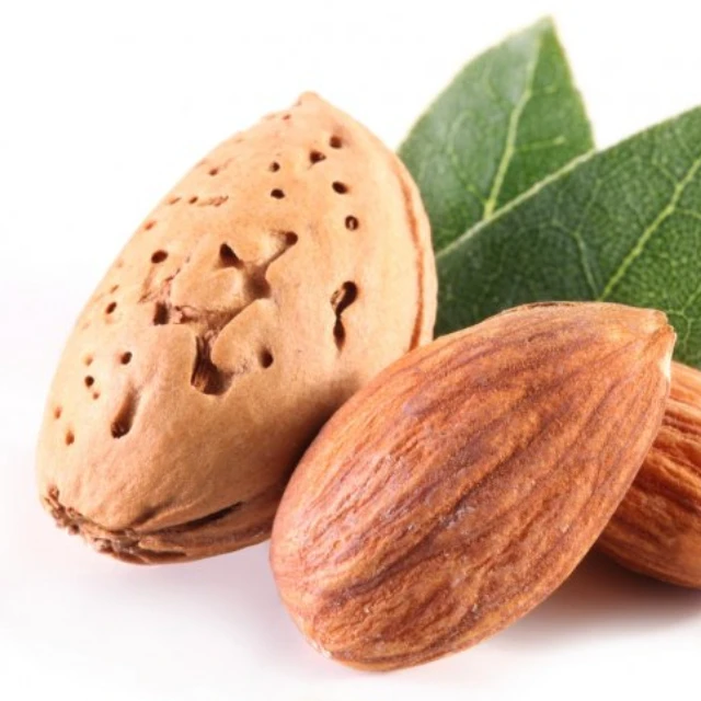 Wholesale Almond Nuts 2024 New Crop Best Almond Top Grade Nuts Buy