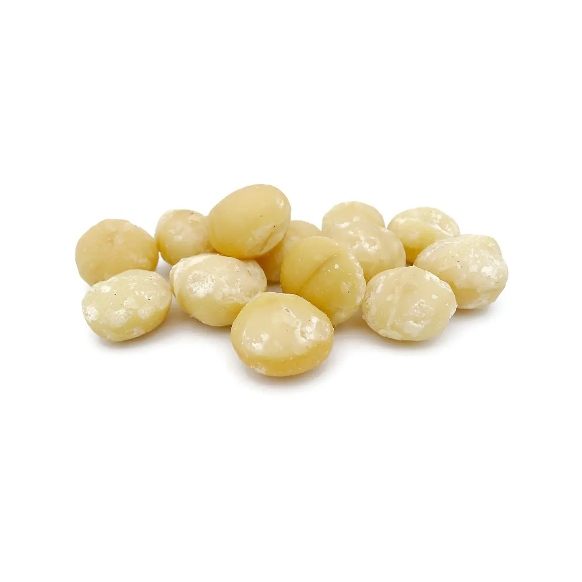 Premium Quality Fresh Macadamia Nuts Roasted and Dried in Bulk for Wholesale and Retail for Large Orders