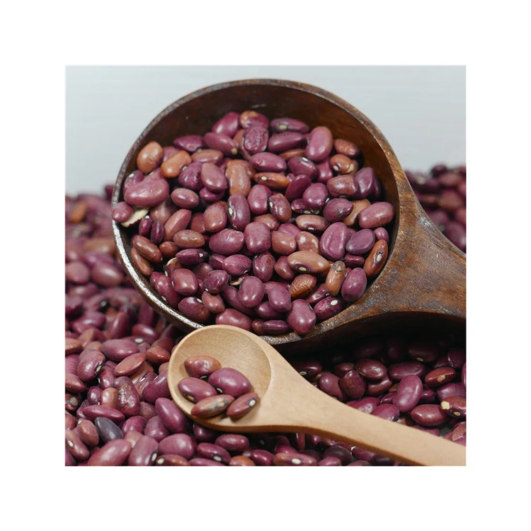 Dry Dark Red Kidney Beans Seeds