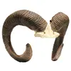 Natural Horn Color