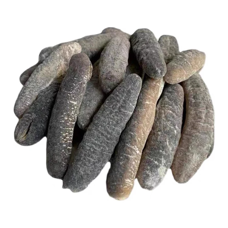 Dried Sea Cucumber/ Fresh Sea Cucumber Bulk Supply Buy Dried Sea