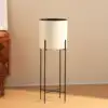COMO SE MUESTRA