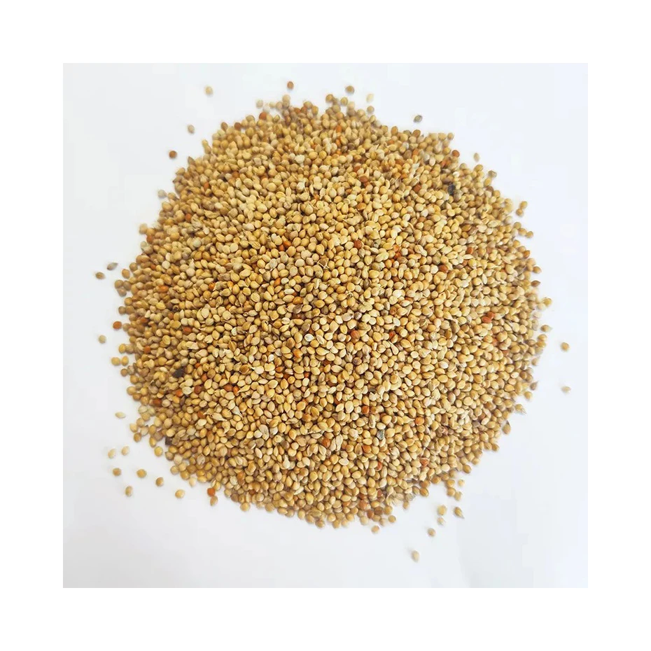 100 Dried Whole Millets Grains For Animal Feed Food Grade Organic Millets At Wholesale Price